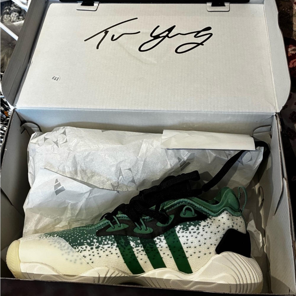 Adidas basketball Sneakers Trae Young in Green and Cream